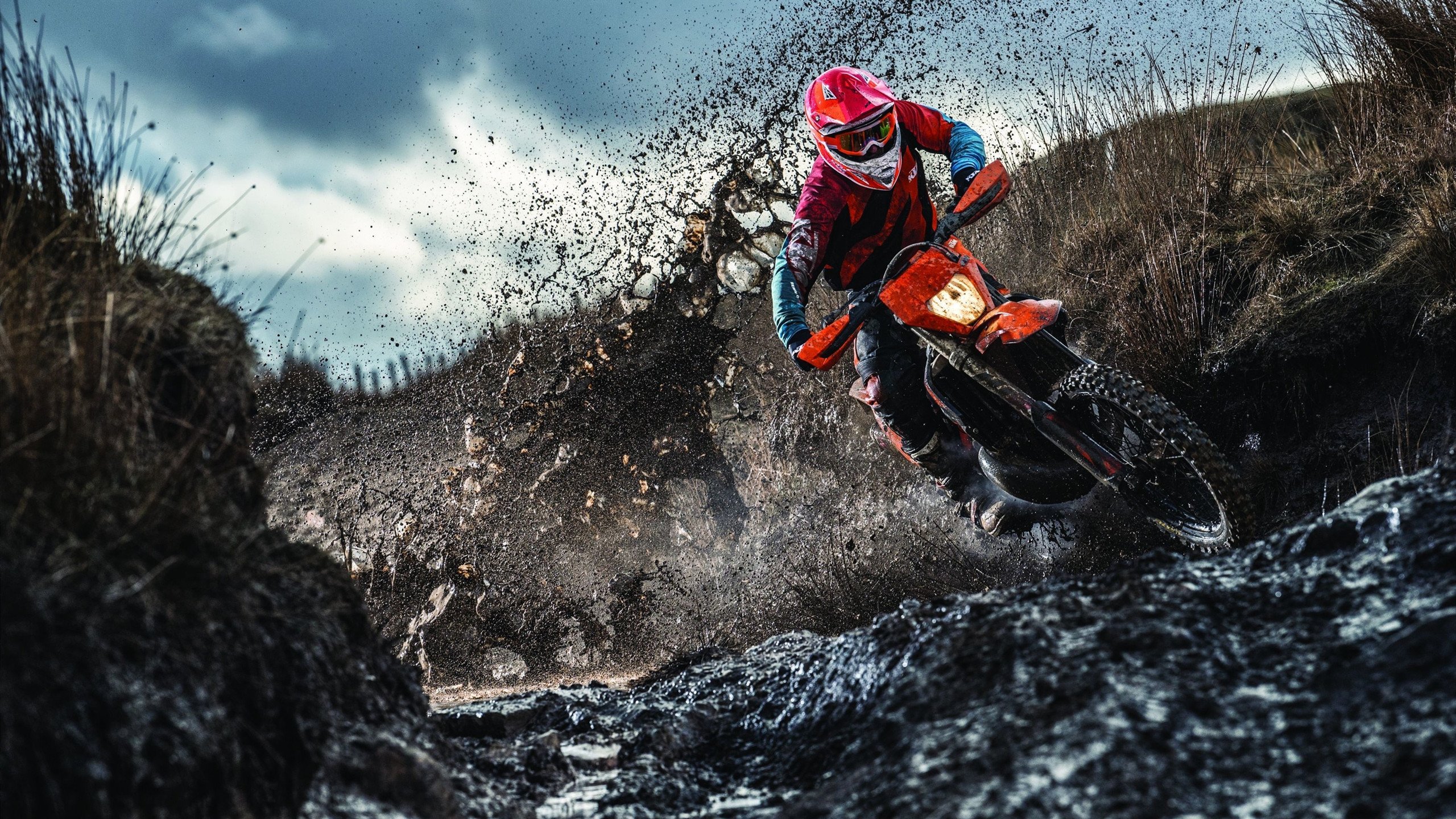 哈斯车队碾压索伯车队，诺里斯如何扛起全队，改写F1中游格局